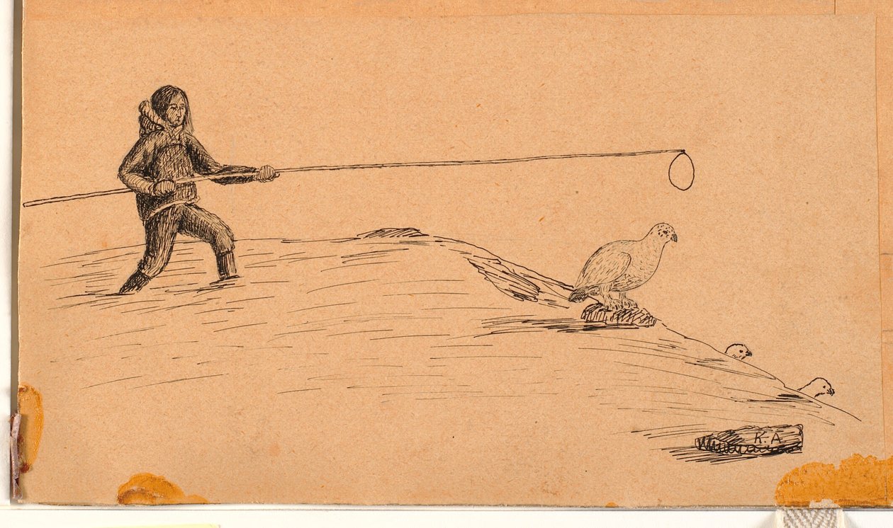 Chasse au lagopède avec une longue perche et un nœud coulant - Kaarale Andreassen