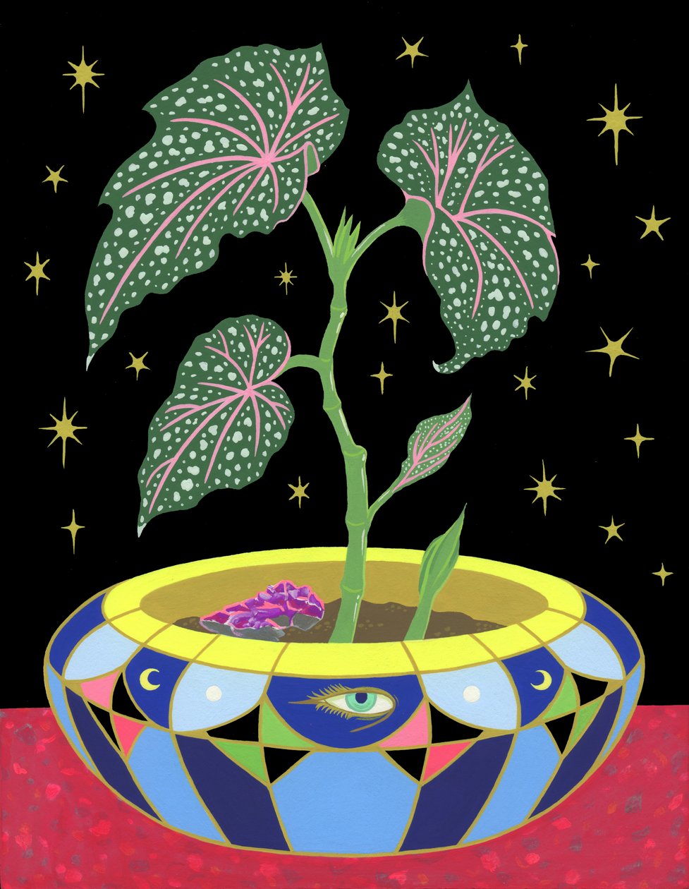 Bégonia en pot, 2021 - Kam Tsz