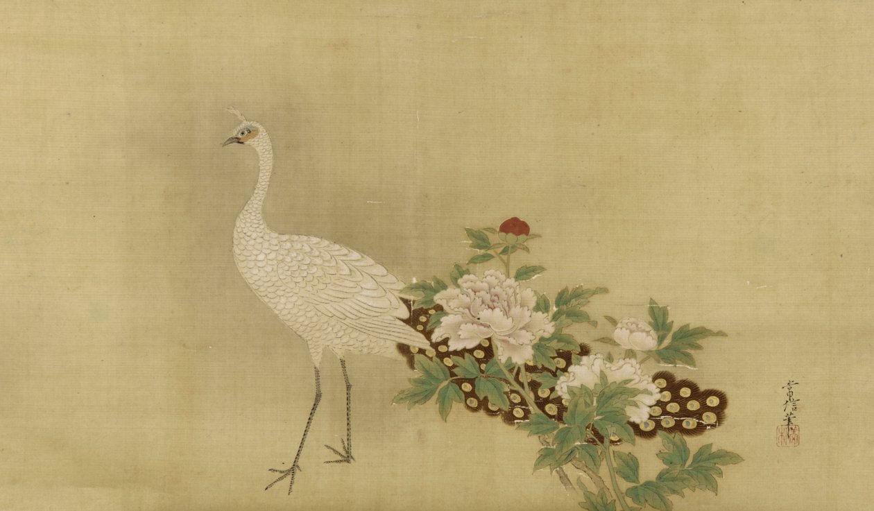 Paon blanc et pivoines, période Edo, milieu du XVIIe-début du XVIIIe siècle - Kano Tsunenobu