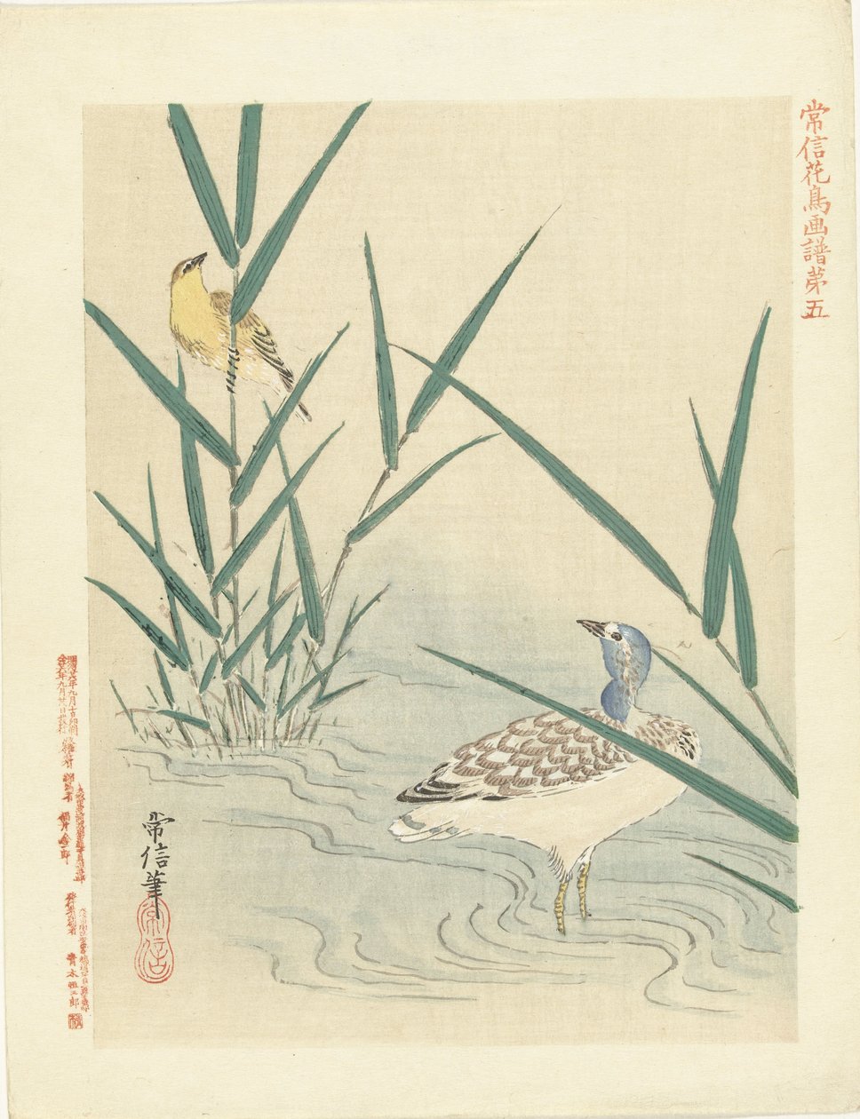 Oiseau aquatique regardant un oiseau chanteur jaune - Kano Tsunenobu