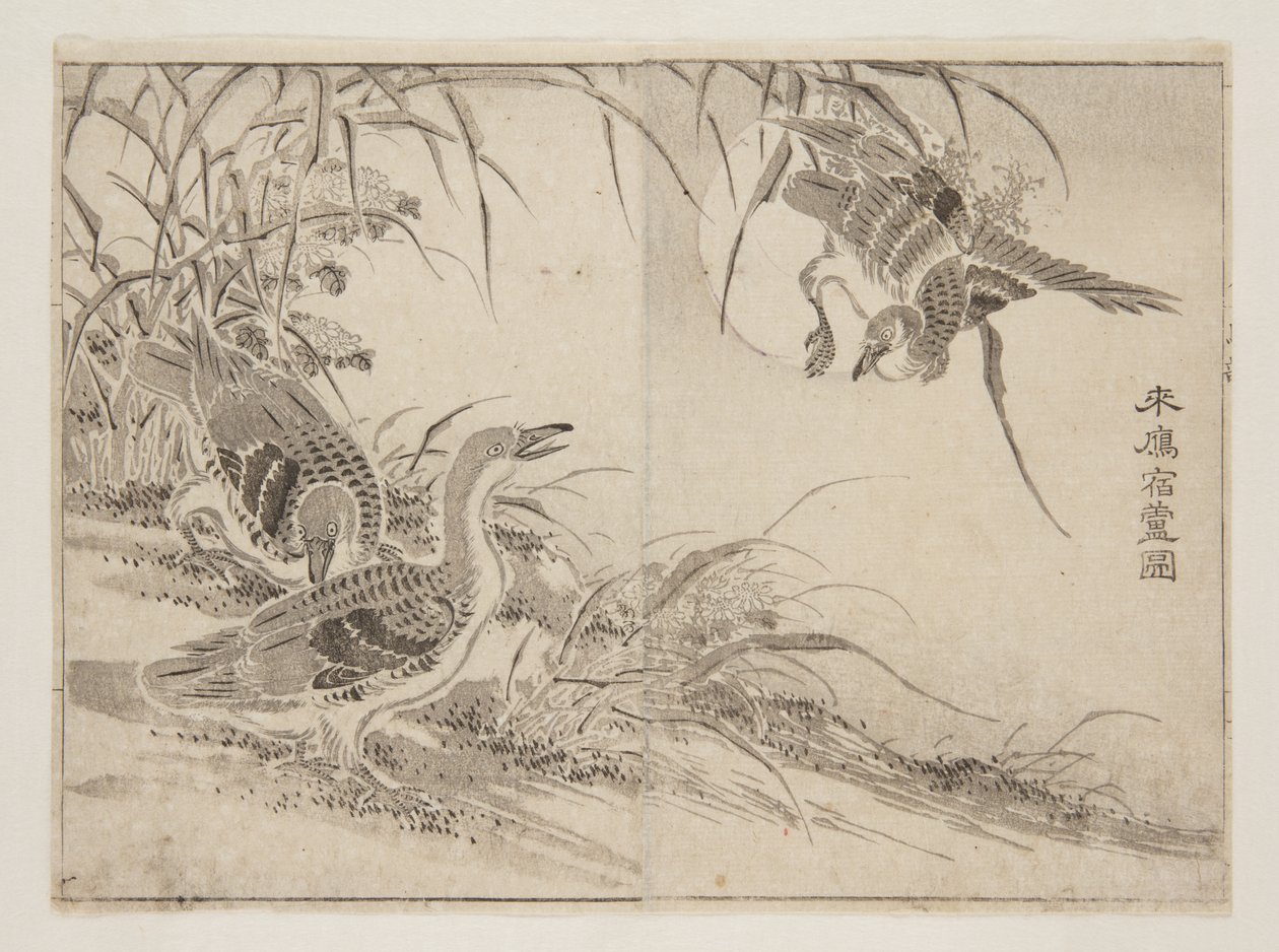 Oies vivant dans les roseaux (estampe sur bois en couleur) - Kanyosai Kanyosai