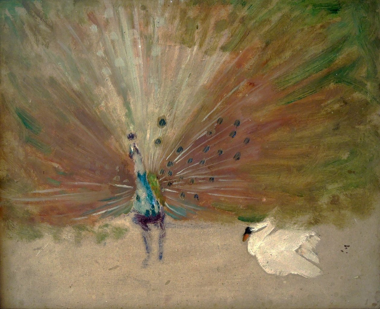 Paon à l