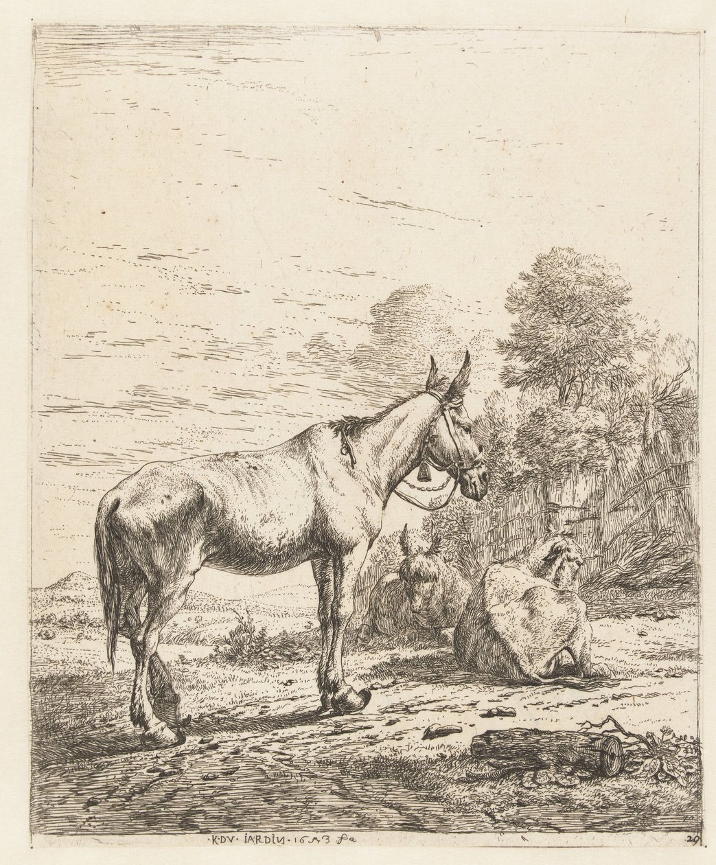Mulet avec une cloche au licou et deux ânes couchés - Karel Du Jardin