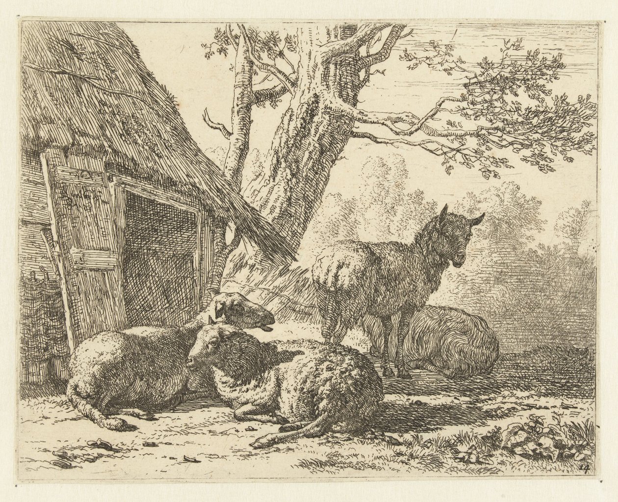 Quatre moutons - Karel Du Jardin