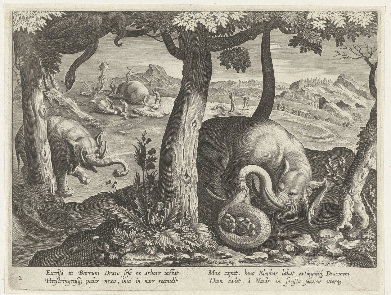 Olifant en combat avec un serpent - Karel van Mallery (attributed to)