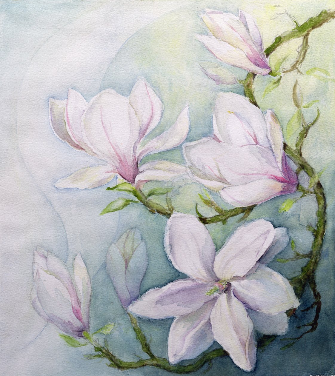 Magnolias - Karen Armitage