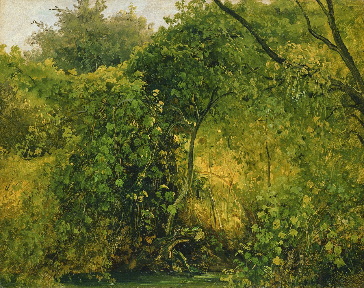 Buissons à Pillnitz, vers 1818-28 - Karl Gustav Carus