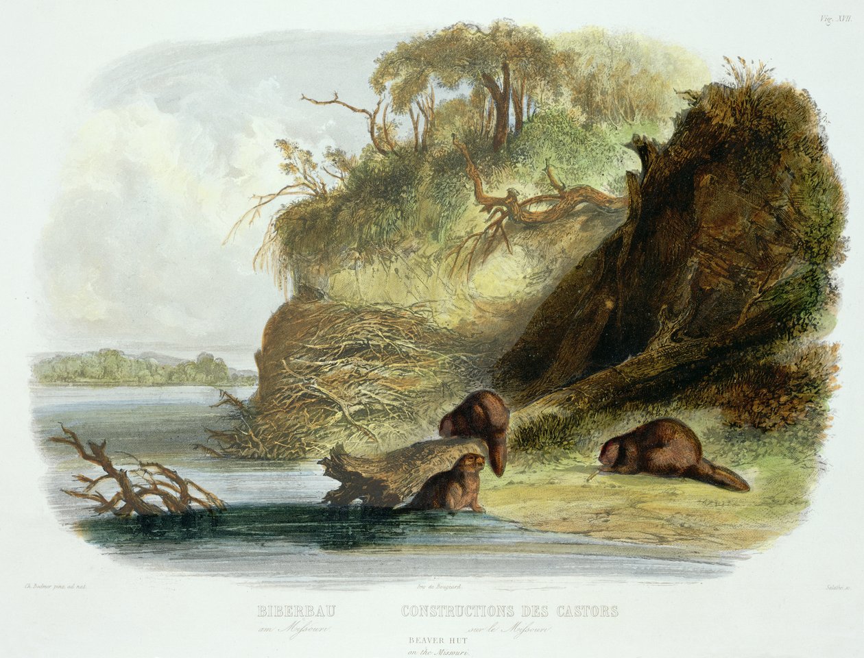 Hutte de Castor sur le Missouri, planche 17 du volume 1 de 