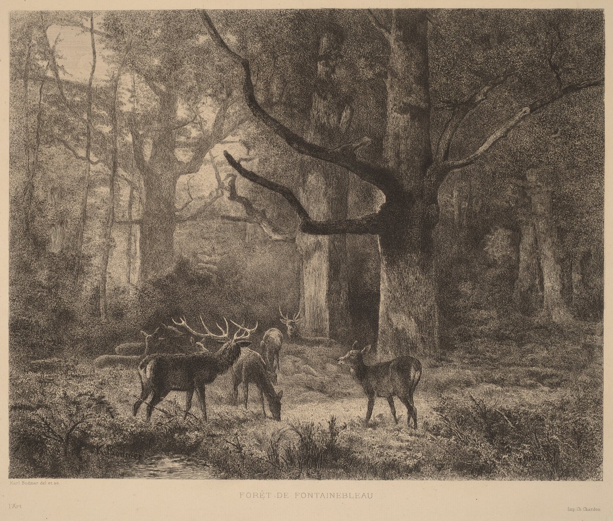Forêt de Fontainebleau - Karl Bodmer
