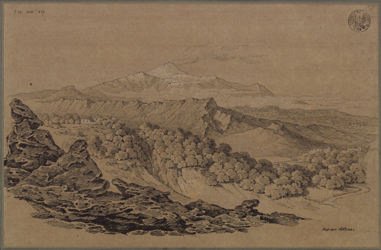 « Dessiné dans la région boisée de l