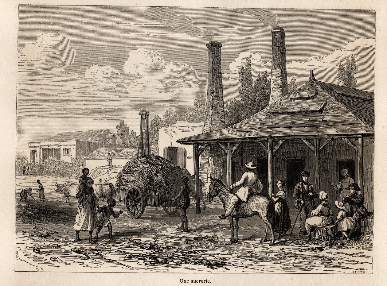 Une usine de sucre de la Rivière du Rempart, à Maurice, dessin par Karl Girardet (1813-1871), pour illustrer le séjour d