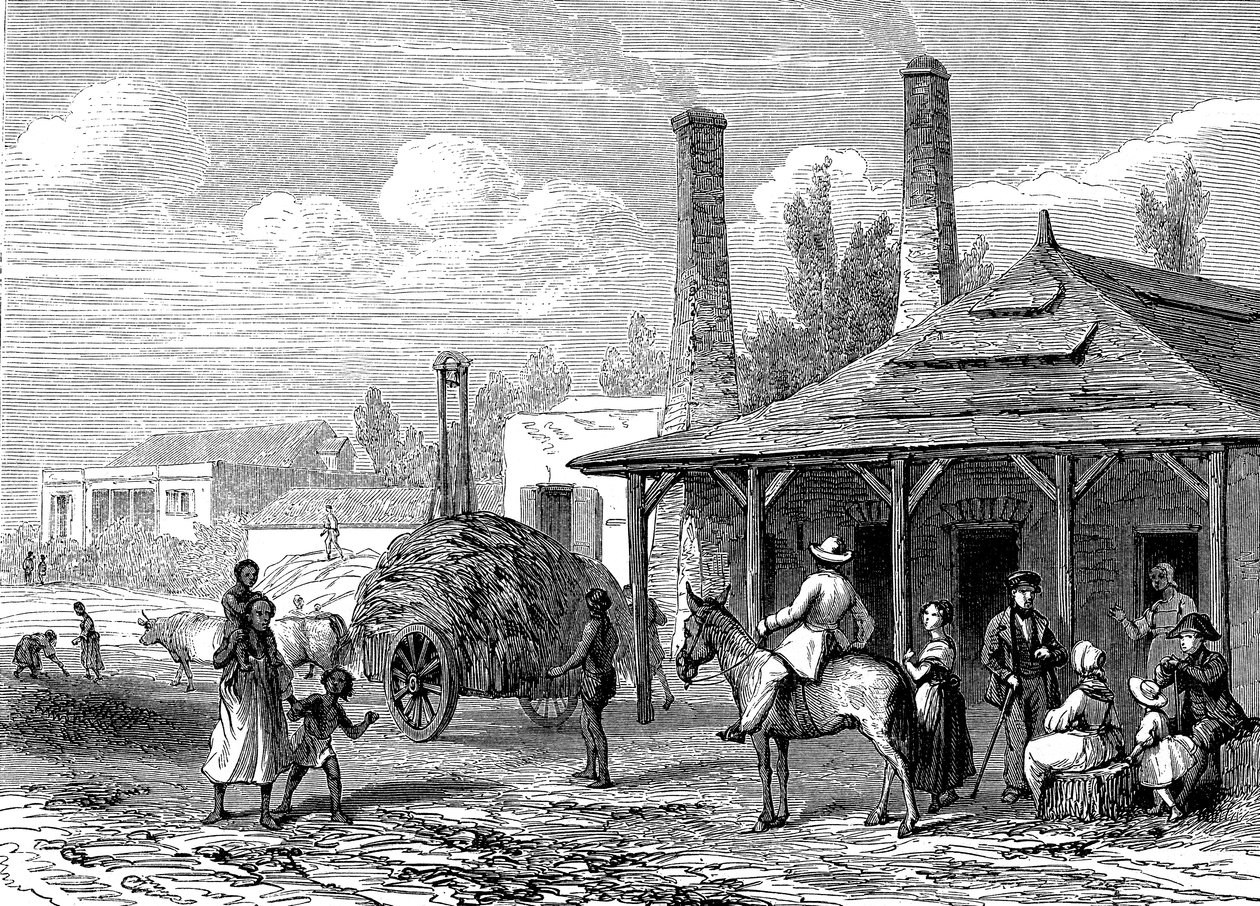 Usine de sucre à Maurice en 1863. Le T du Monde Paris 1863 Éditeur - Karl Girardet