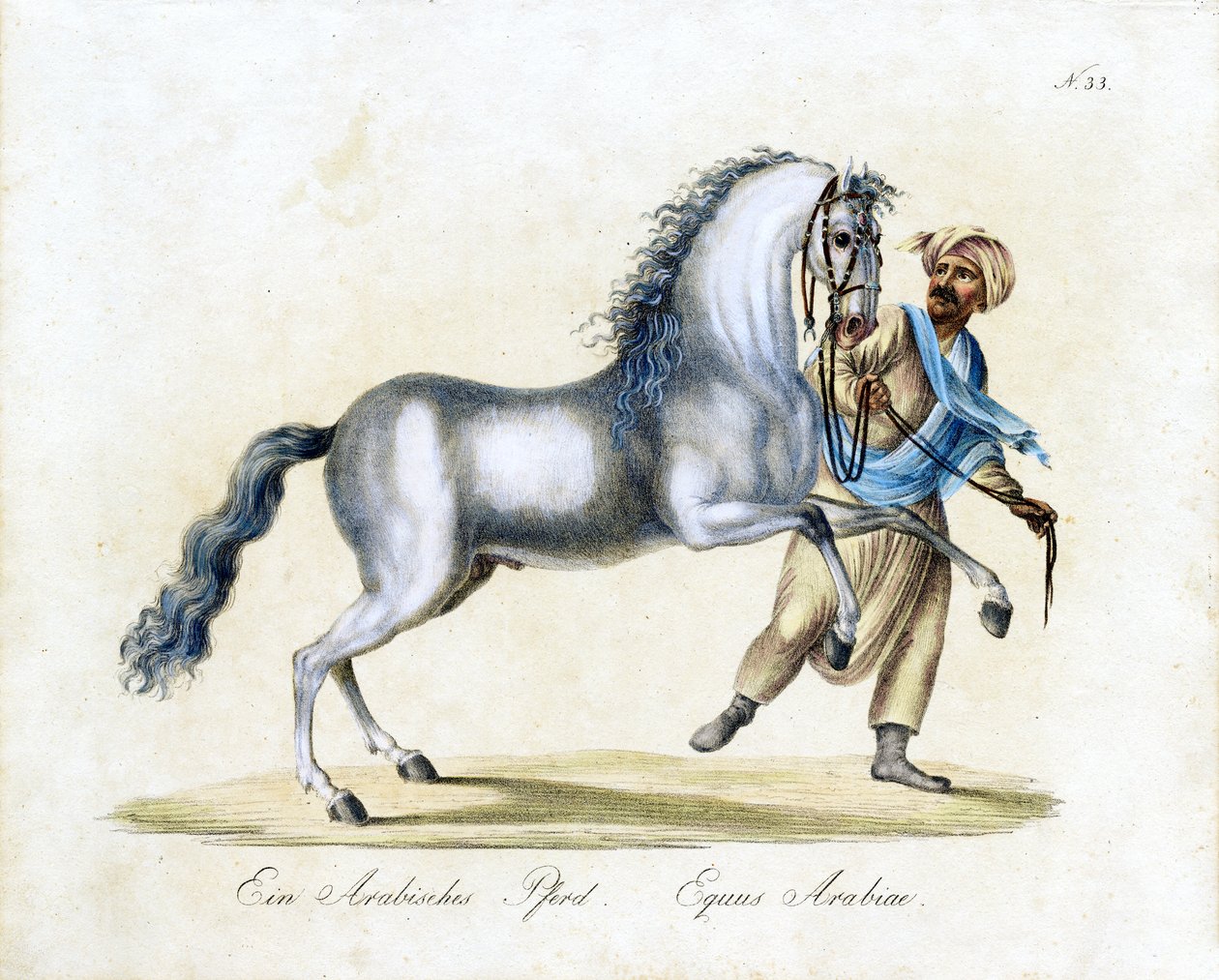 Le cheval arabe (impression) - Karl Joseph Brodtmann
