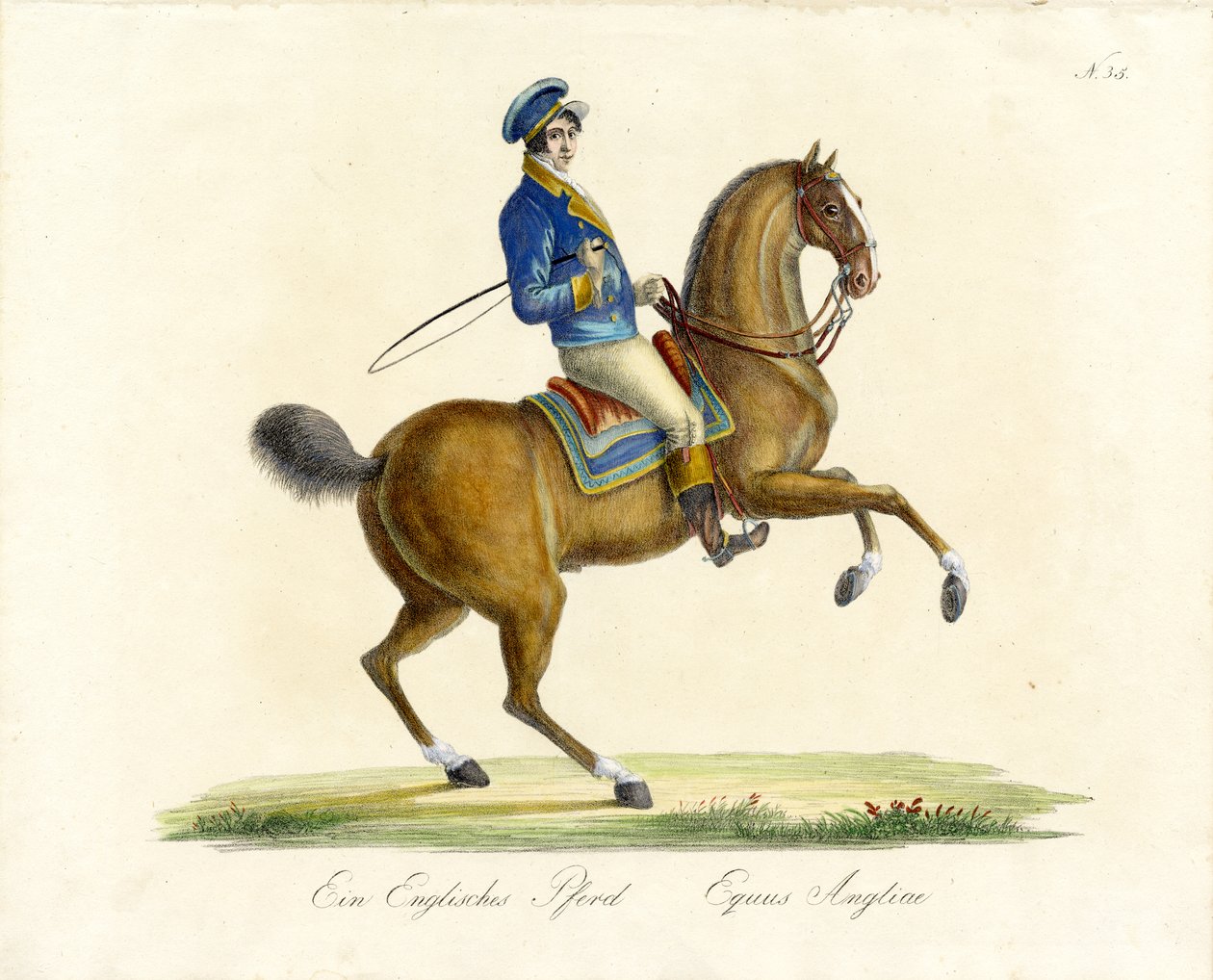 Le cheval anglais (impression) - Karl Joseph Brodtmann