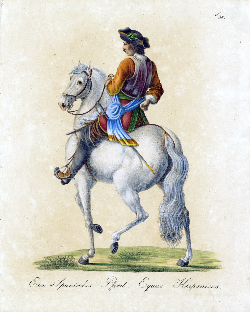 Le cheval espagnol (impression) - Karl Joseph Brodtmann