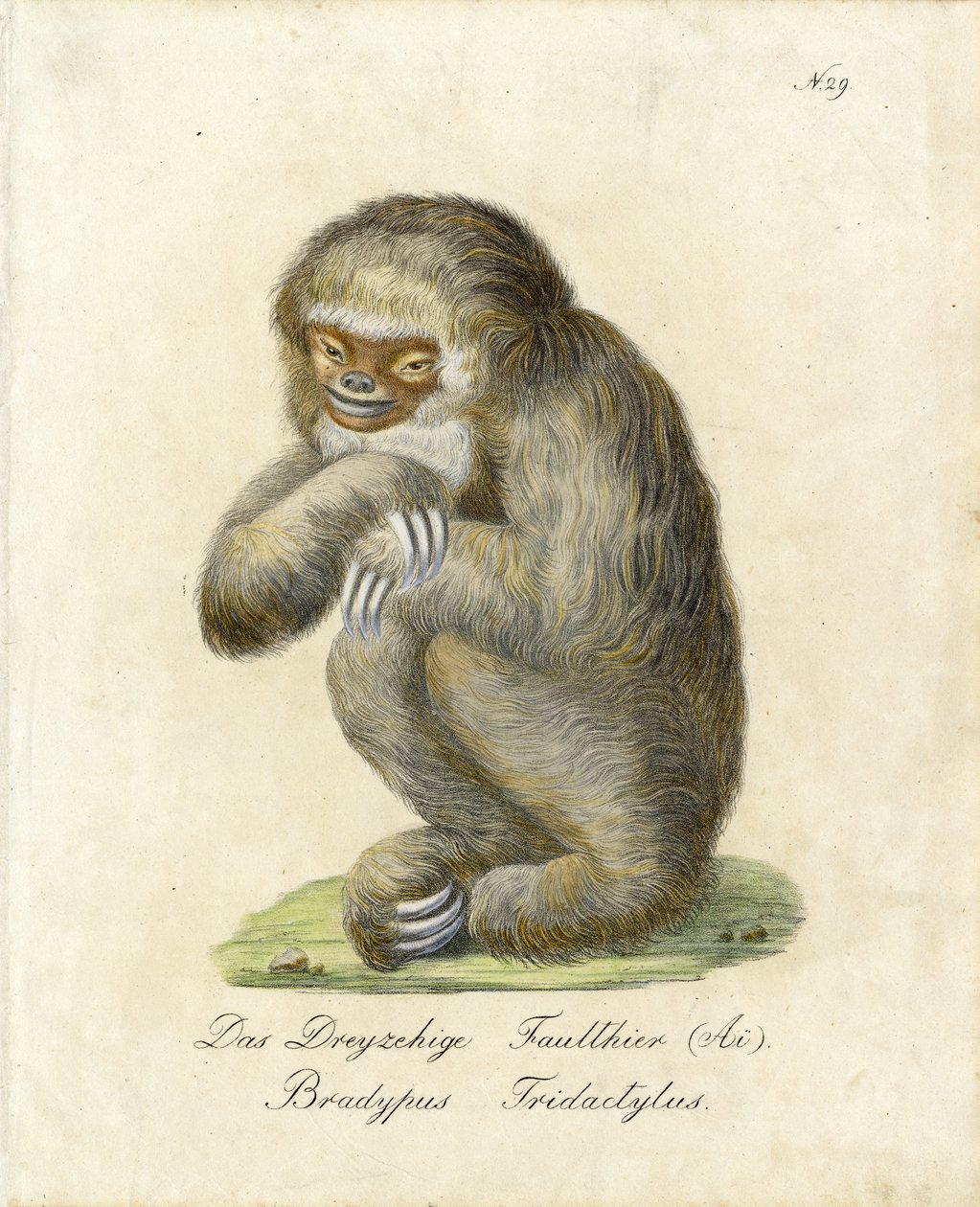  - Karl Joseph Brodtmann