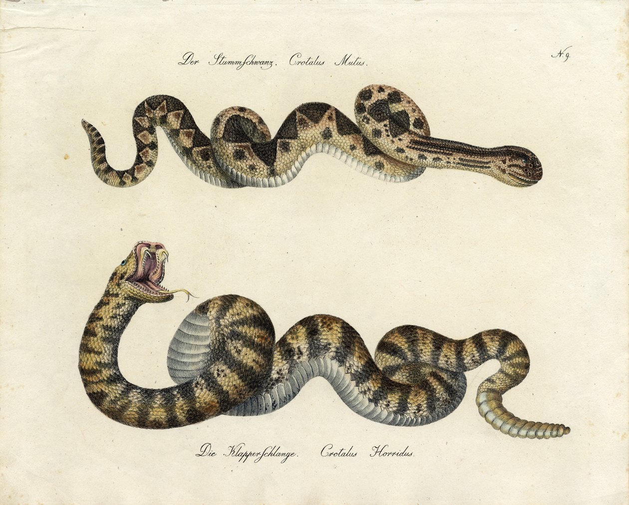  - Karl Joseph Brodtmann