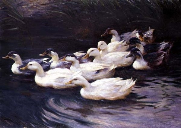 Canards - Karl Lindner