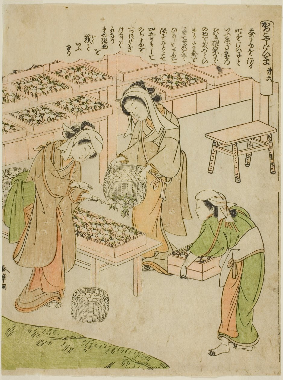 Planche 6 (Examen des Cocons Nouvellement Filés), de la série "Kaiko Yashinai-gusa" - Katsukawa Shunsho