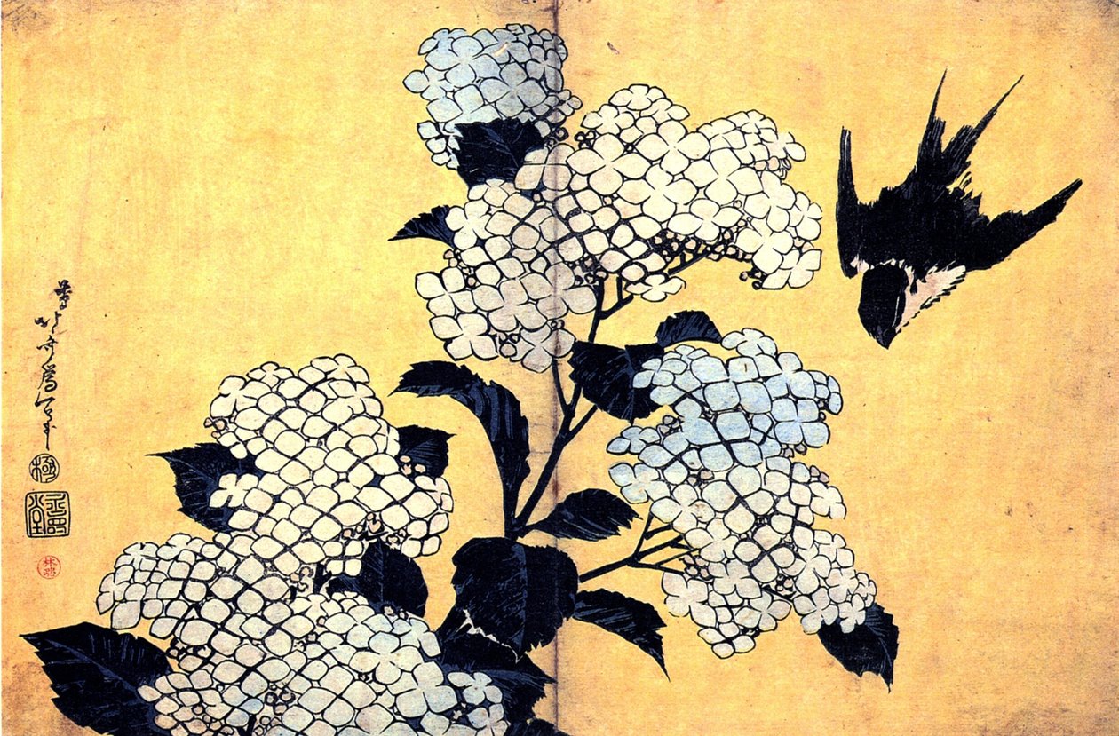 Hortensia et Hirondelle - Katsushika Hokusai