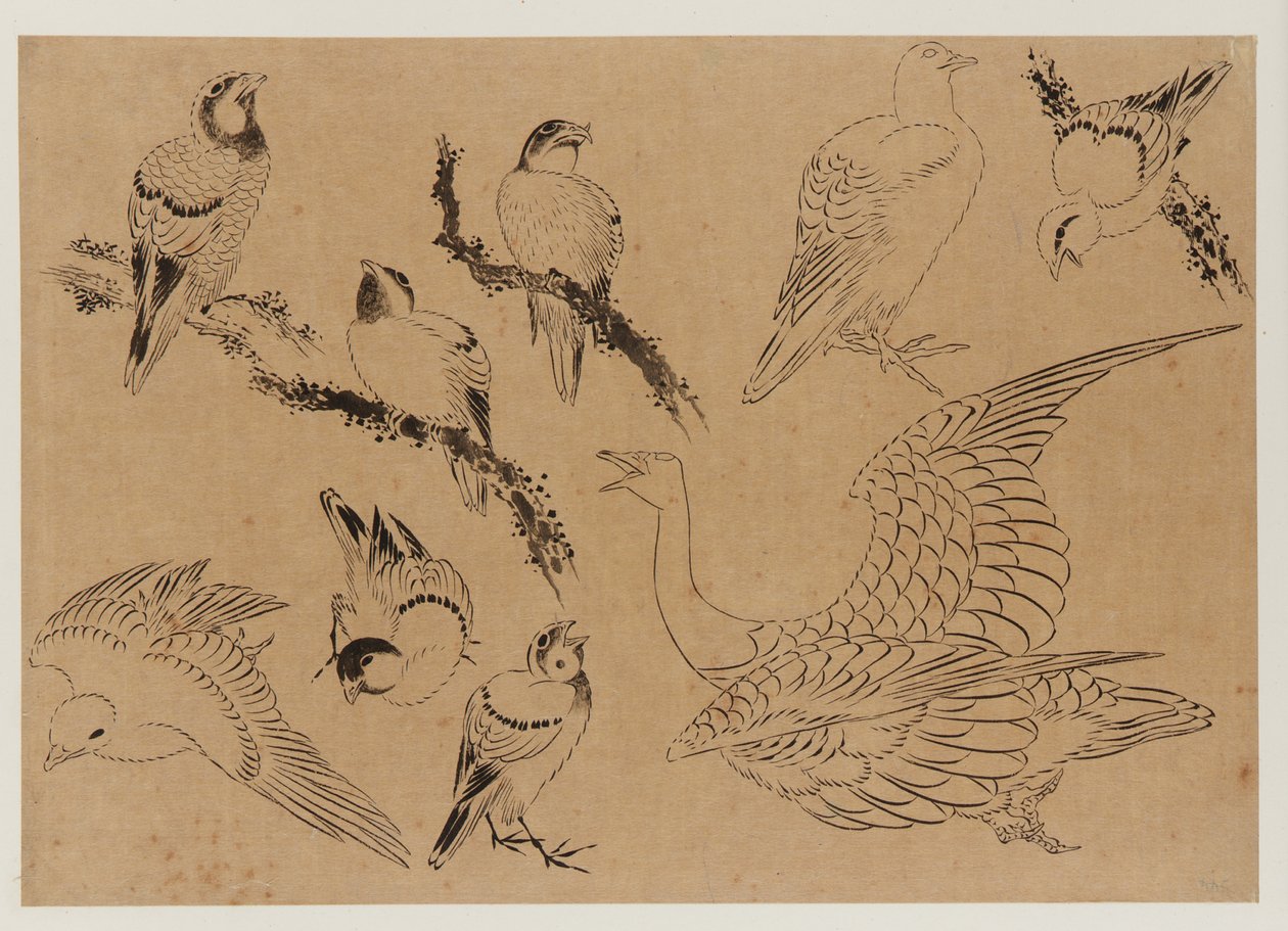 Oiseaux, période Edo, fin du XVIIIe-début du XIXe siècle - Katsushika Hokusai