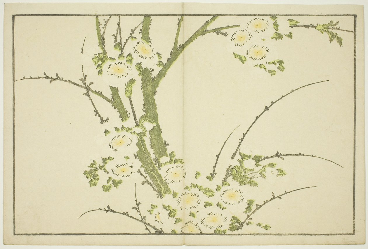 Fleurs, du Livre d