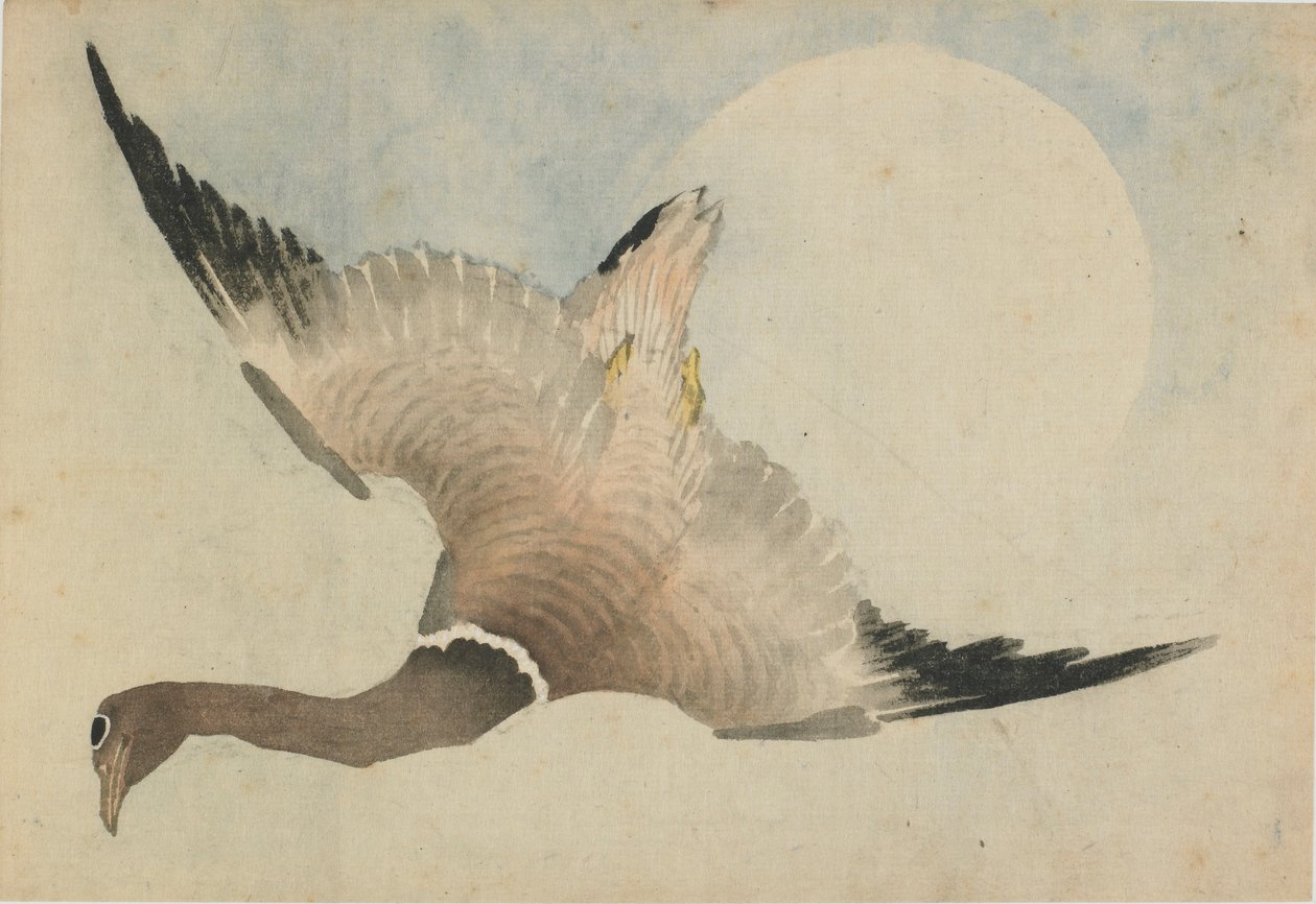 Oie volant devant la lune, fin 18e-début 19e siècle - Katsushika Hokusai