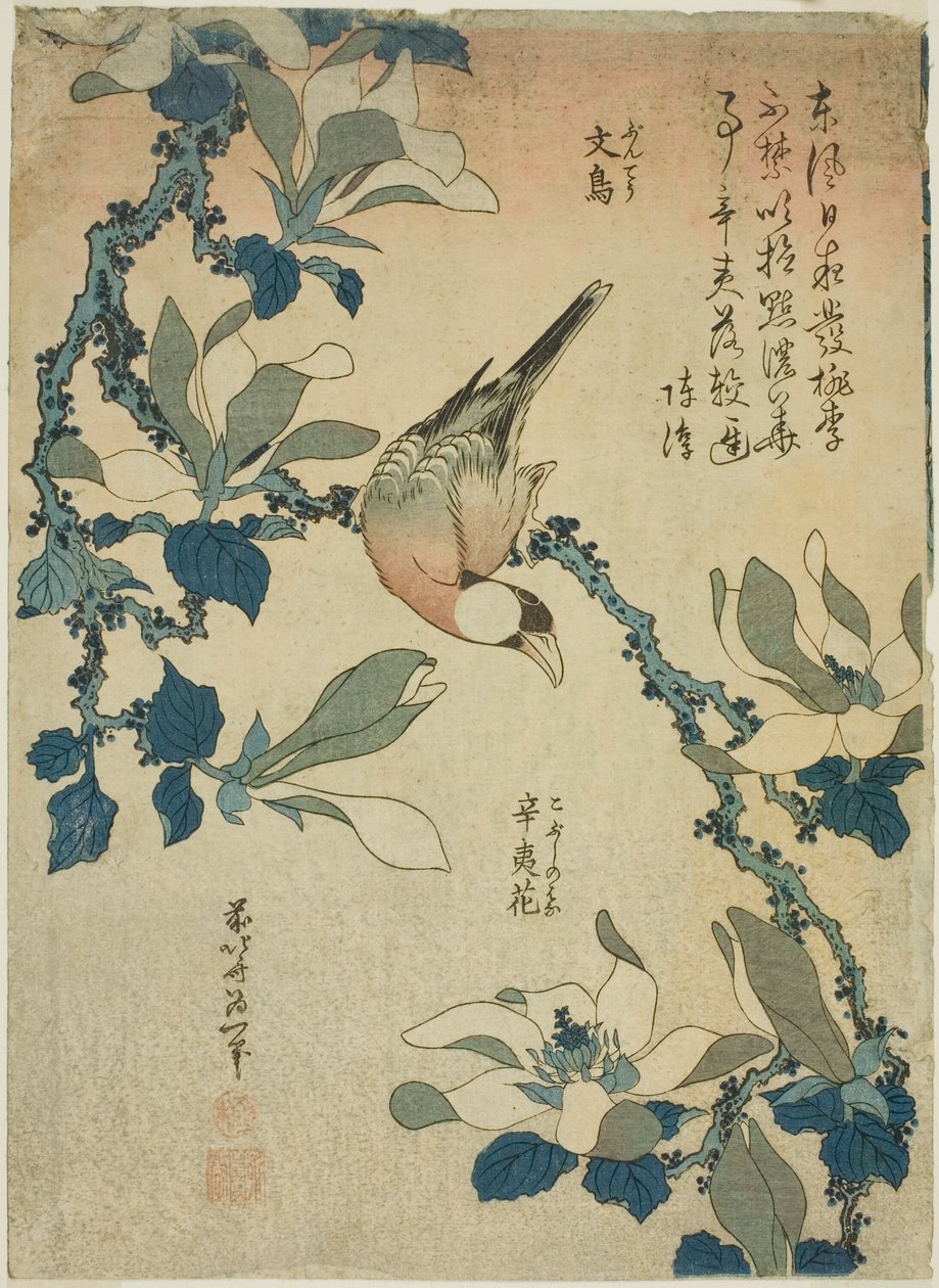 Oiseau Paddy et fleurs de magnolia (Buncho, kobushi no hana), d