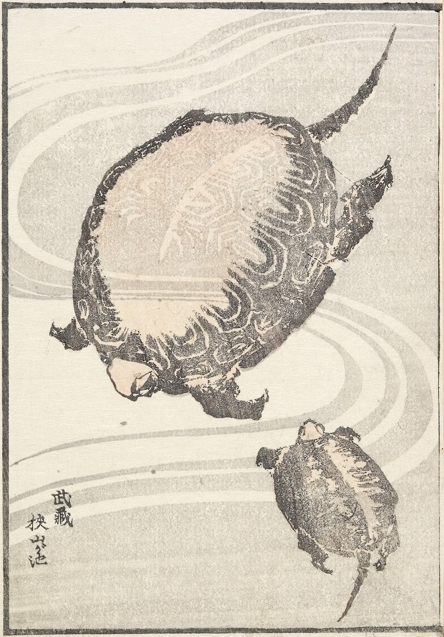 Étang de Sayama-ga-ike dans la province de Musashi, 1817 - Katsushika Hokusai