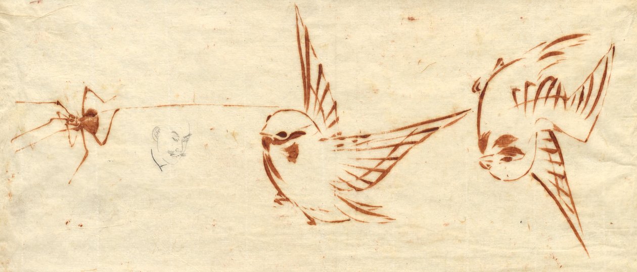 Page de croquis avec oiseaux et araignée - Katsushika Hokusai