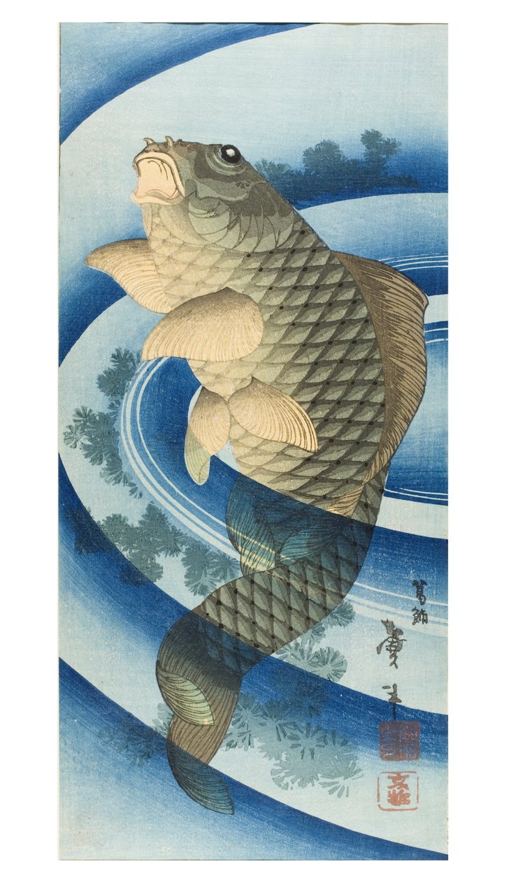 Carpe - Katsushika II (fl.1820-50) Taito