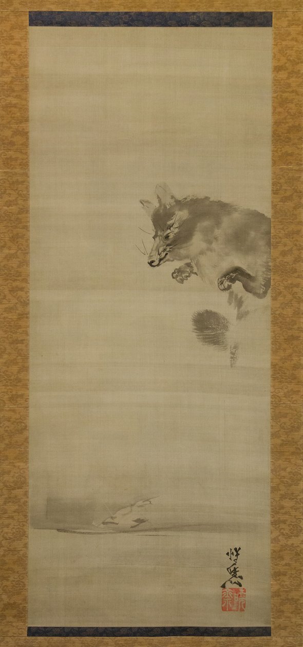 Tanuki chien-raton laveur regardant son reflet dans l