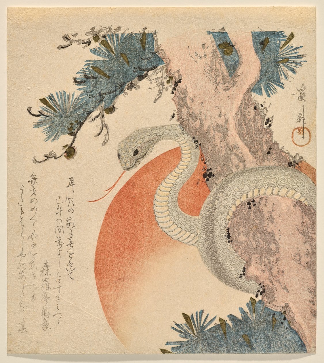 Serpent enroulé autour d