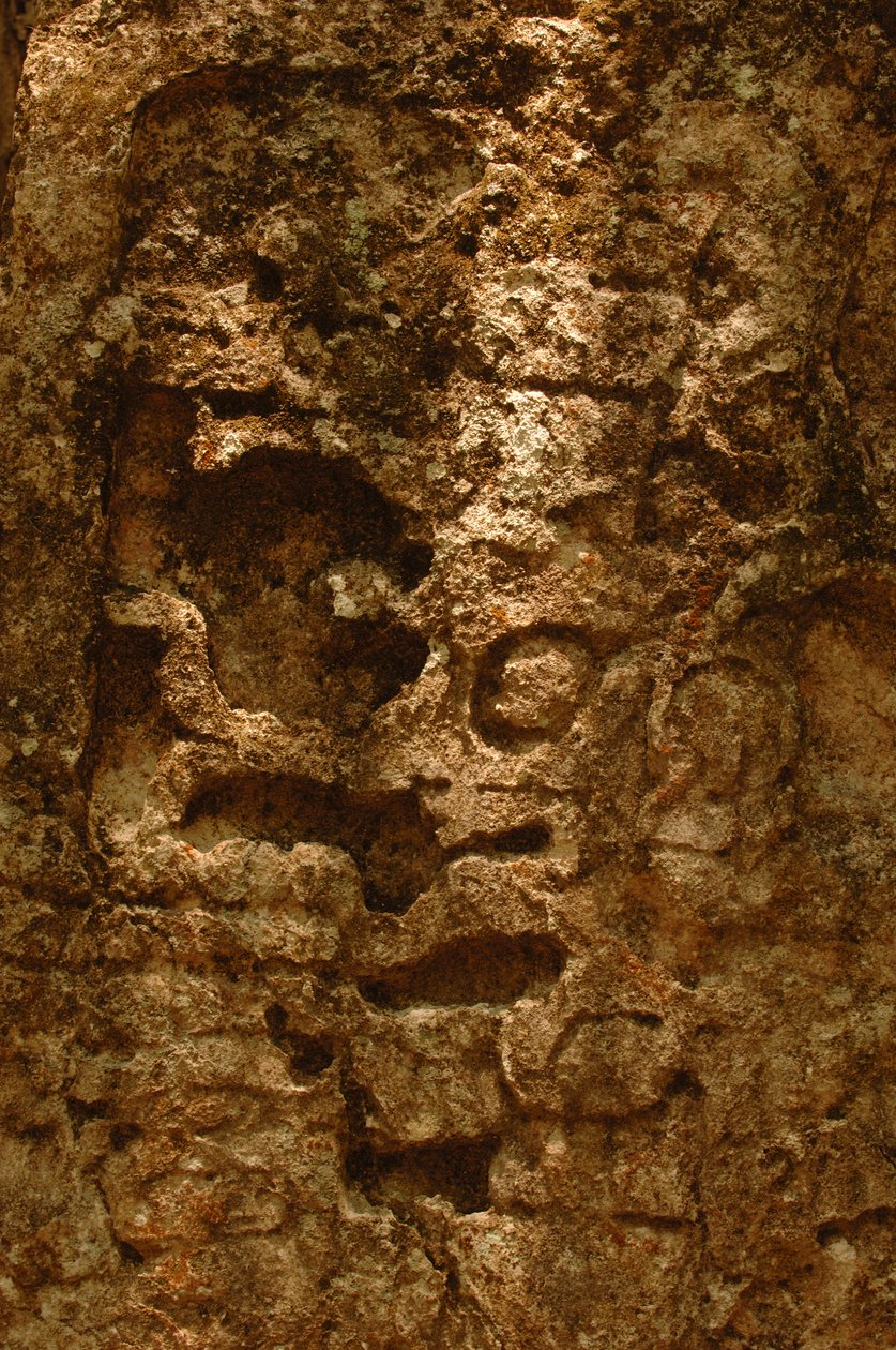 7319 Oxpemul; Maya; Cultures anciennes; Maya; Mexique; Réserve de biosphère Maya; Ivan Spr..., 2004 - Kenneth Garrett