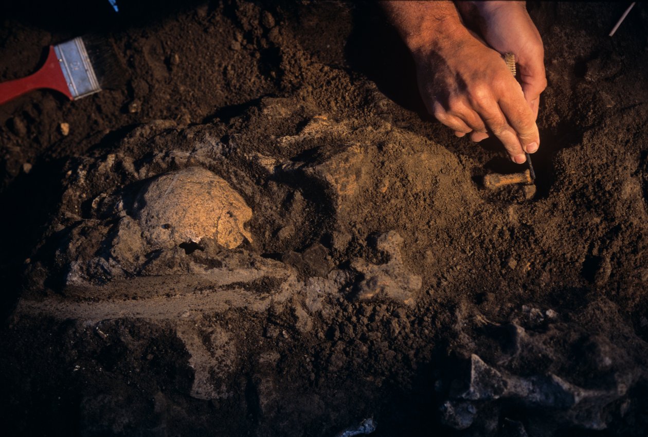 Dmanisi, Géorgie, David Lordkipanidze, Homo Erectus - Kenneth Garrett