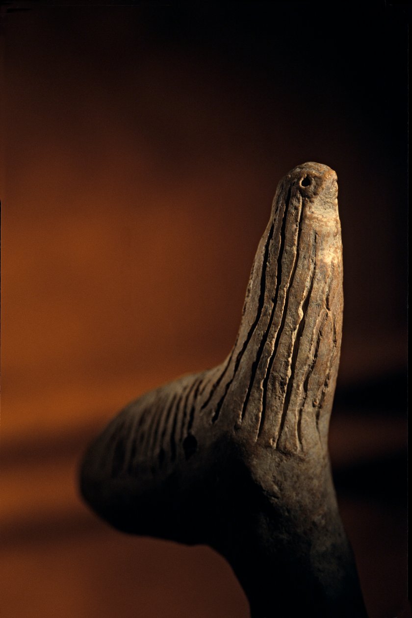 Urkesh; Hourrite; Empire; Syrie; 2400 av. J.-C.; Giorgio Buccellati; Archéologie; EAME, artif..., 2004 (photo) - Kenneth Garrett