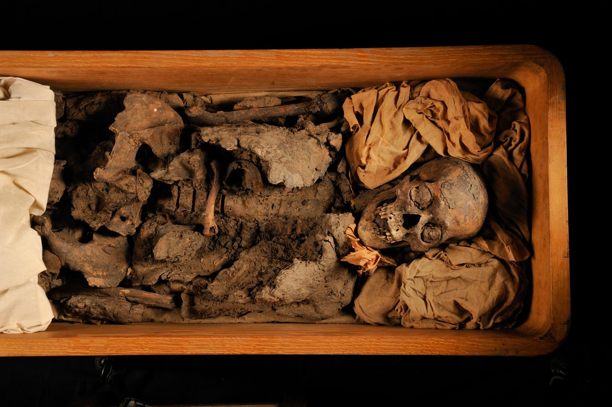 mm7864 ; Toutankhamon ; 18ème dynastie ; Nouvel Empire ; le Musée égyptien ; Le Caire ; ADN ; échantillon, 2005 (photo) - Kenneth Garrett