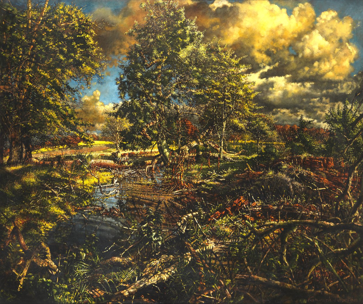 Ruisseau de Nailbourne, Bourne Park - Kenneth Newton