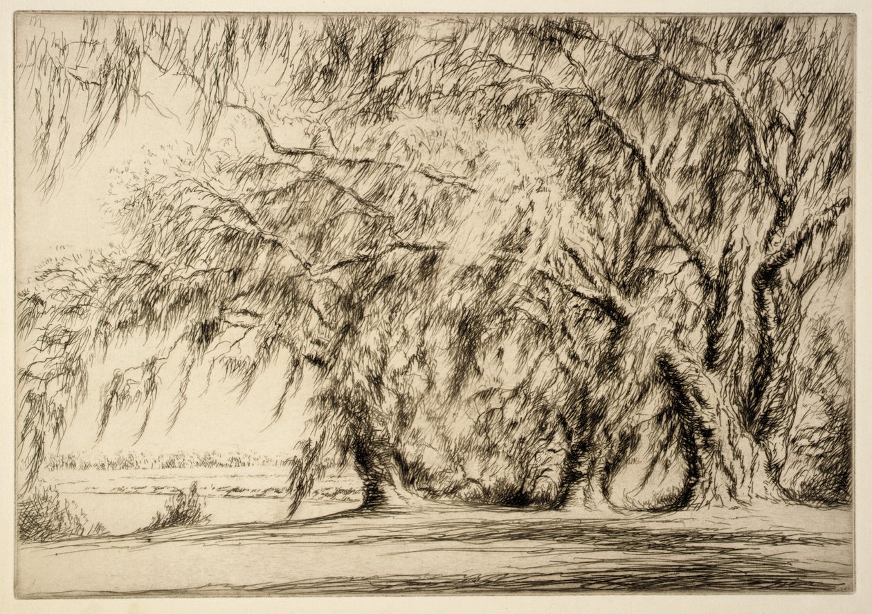 Chênes et mousses - Kerr Eby