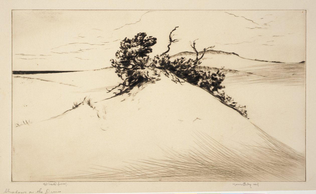 Ombres sur les dunes - Kerr Eby