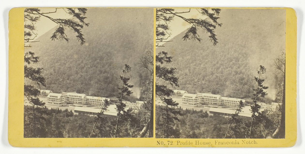 Profile House, Franconia Notch - Kilburn Brothers, BW Kilburn