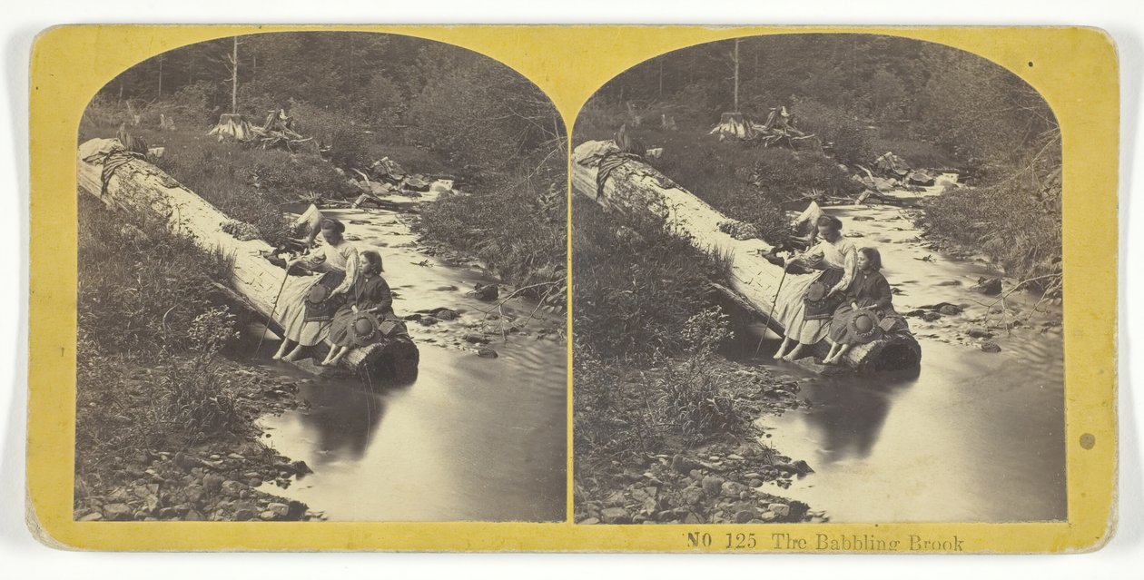 Le ruisseau babillant. Créateurs : Kilburn Brothers, BW Kilburn - Kilburn Brothers, BW Kilburn