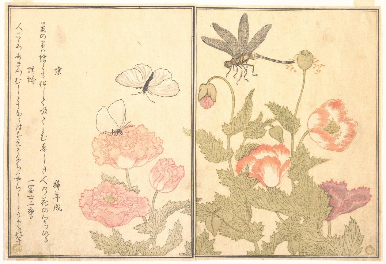 Papillon (Chō) ; Libellule (Kagerō ou Tonbo), du Livre d