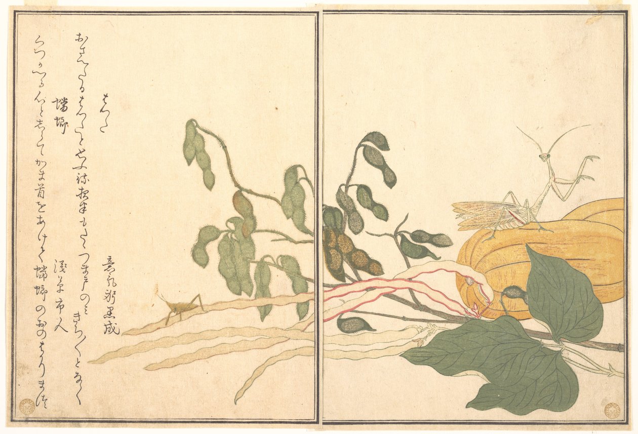 Sauterelle à tête conique (batta) ; Mante religieuse (Tōrō ou Kamakiri), tiré du « Livre d