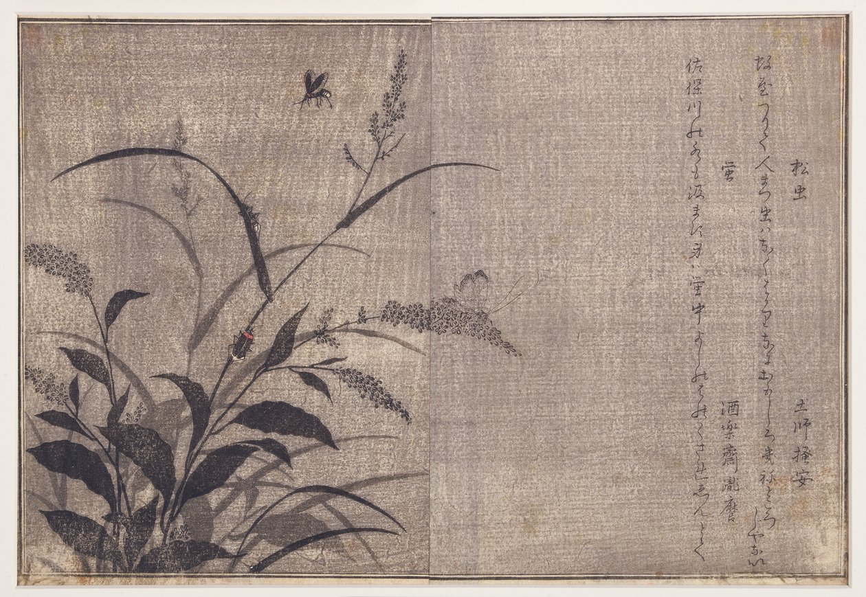 Criquet et lucioles, 1788 - Kitagawa Utamaro