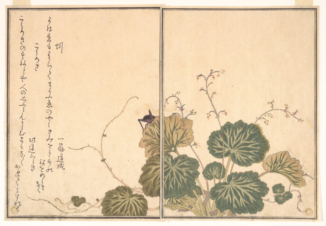 Ver de terre (Mimizu) ; grillon (Kōrogi), du Livre illustré des créatures rampantes (Ehon mushi erami) - Kitagawa Utamaro