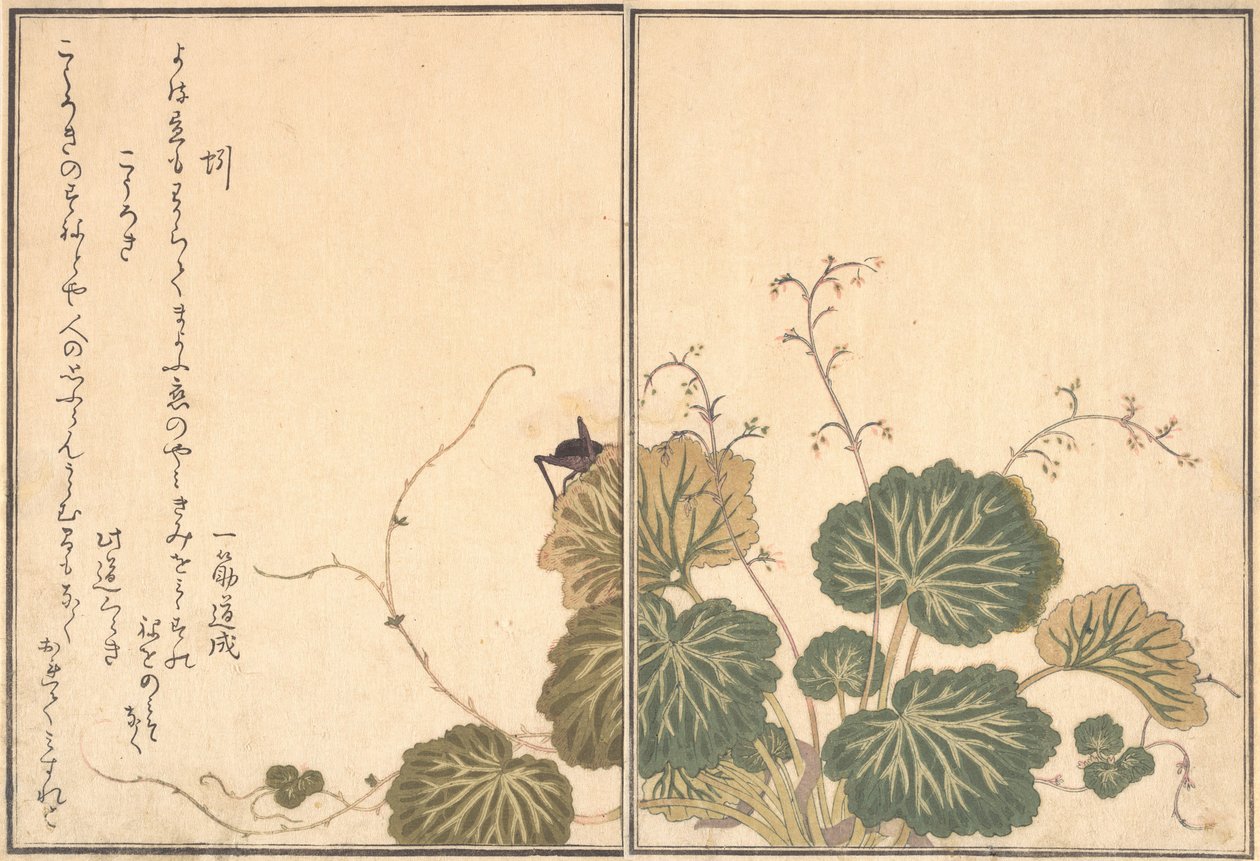 Ver de terre Mimizu, Grillon Korogi..., 1788 - Kitagawa Utamaro