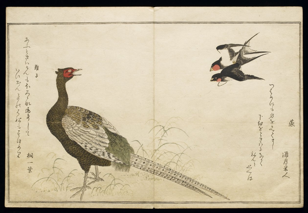 P.332-1946 Vol.1 f.6 Paire d