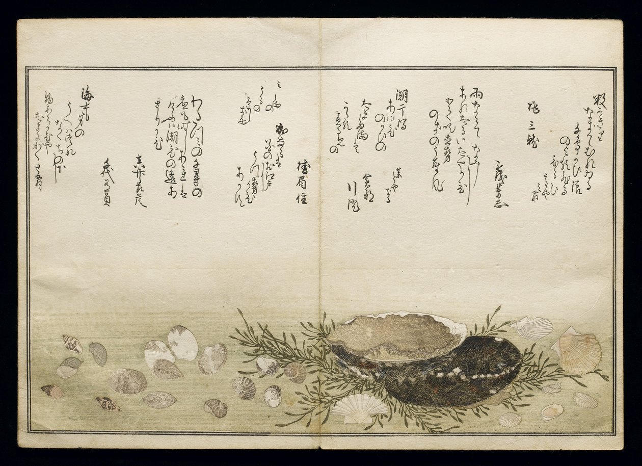 Shiohi no tsuto (Cadeaux de la marée descendante), connu sous le nom de Livre des coquillages, 1789 - Kitagawa Utamaro