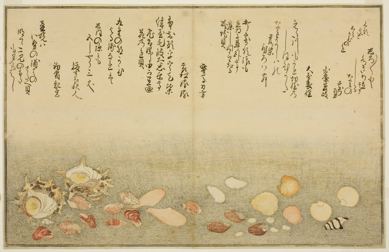 Shiro-gai, namima-gashiwa, makura-gai, iro-gai, aza-gai, sadae-gai, du livre illustré "Cadeaux de la marée descendante (Shiohi no tsuto)" - Kitagawa Utamaro